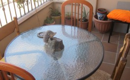 Venta piso de 3 dormitorios en Monachil Barrio