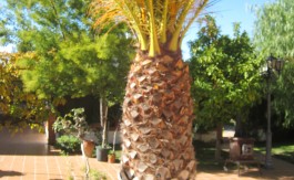 Chalet independiente en Gojar