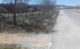 Finca Rustica en Fornes 13.500 metros cuadrados.