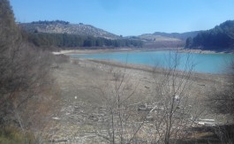 Finca Rustica en Fornes 13.500 metros cuadrados.