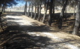 Finca Rustica en Fornes 13.500 metros cuadrados.