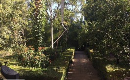 Chalet con 5 dormitorios y 5 baños en Gójar