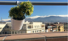 Alquiler Vacacional en Recogidas