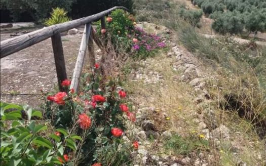Casa con piscina con 4 hectáreas en Moraleda de Zafayona