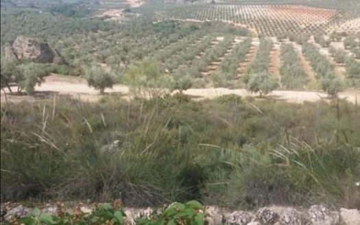 Casa con piscina con 4 hectáreas en Moraleda de Zafayona
