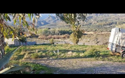 Terreno rústico de 1.700 metros con olivos en Alpujarra