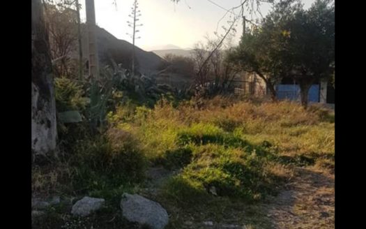 Terreno rústico de 1.700 metros con olivos en Alpujarra