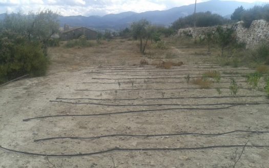 Finca rústica no urbanizable para cultivo en Olula del Rio. Almeria.