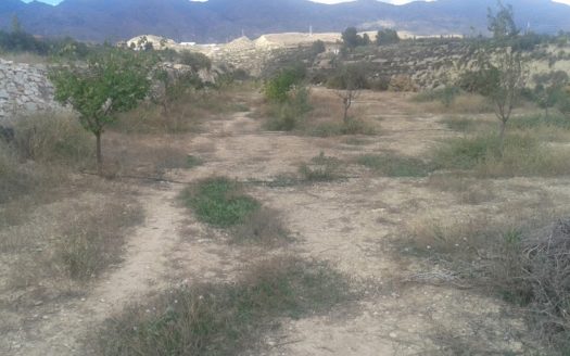 Finca rústica no urbanizable para cultivo en Olula del Rio. Almeria.