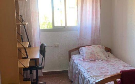 Alquiler de piso 3 dormitorios en cartuja