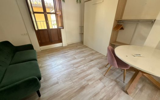 Edificio en Alquiler con 6 apartamentos junto Paseo Tristes