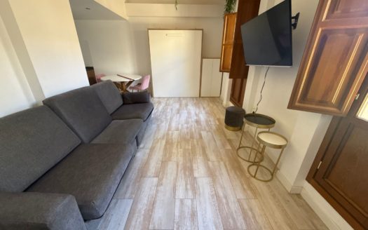 Edificio en Alquiler con 6 apartamentos junto Paseo Tristes